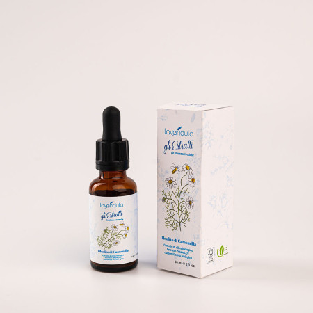 Oleolito di camomilla con olio di oliva biologico, estratto totale CO2 camomilla blu biologico, vitamina E