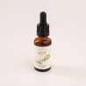 St. John's Wort oil with organic olive oil and vitamin E